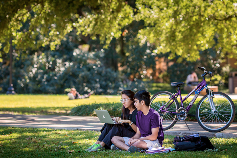 Student on Laptop in Quad