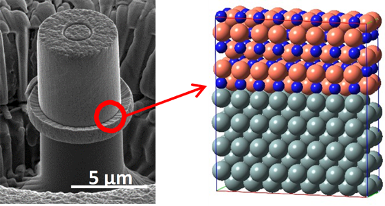 B. Ramu Ramachandran Research Image