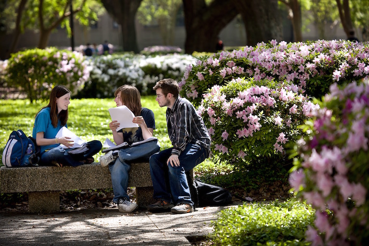 students in quad