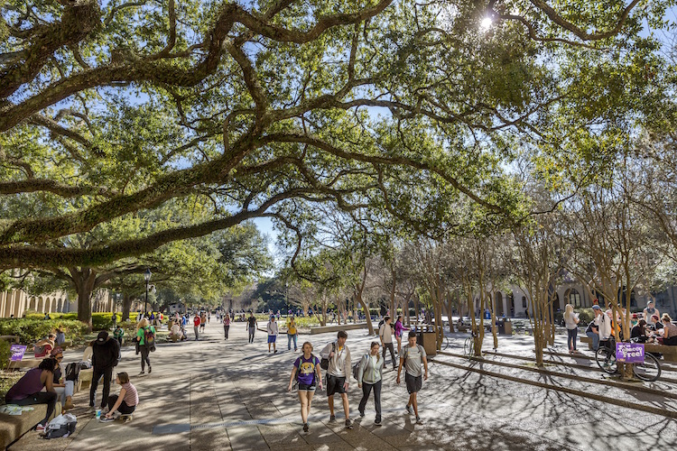 students walking in the quad