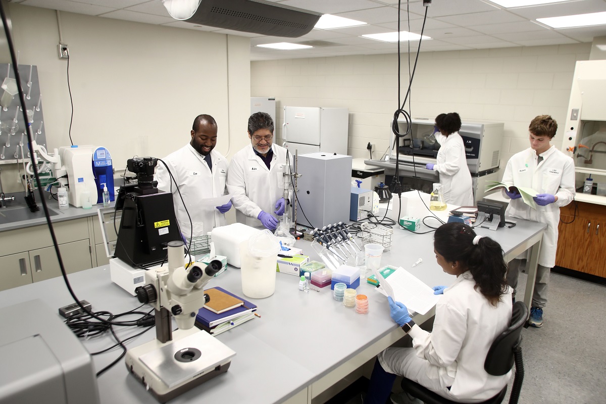 LSU students working in a lab