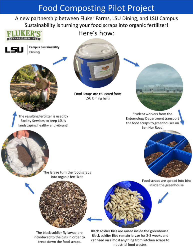 Description of black soldier fly composting process