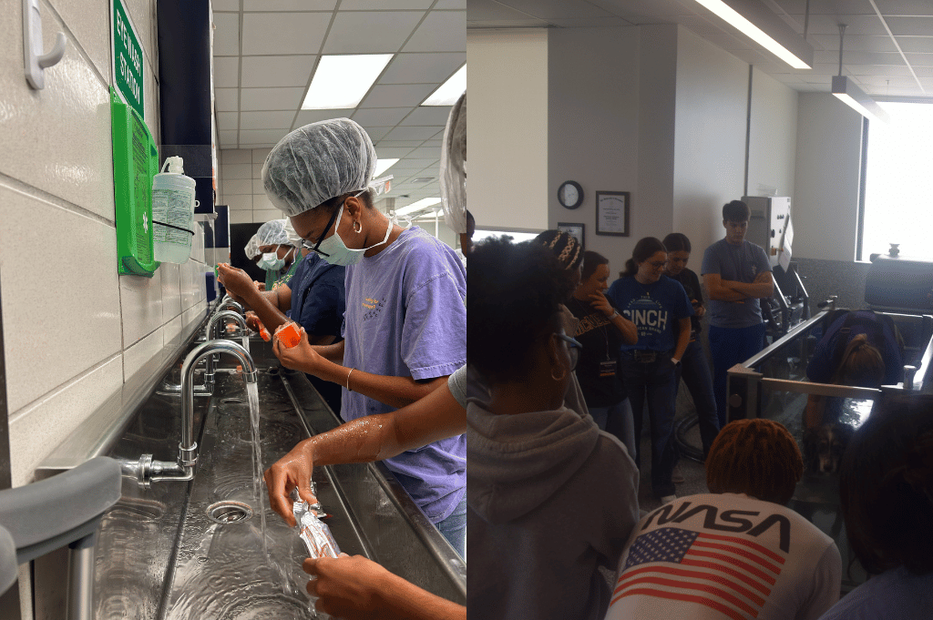 surgery scrub in lab and underwater treadmill