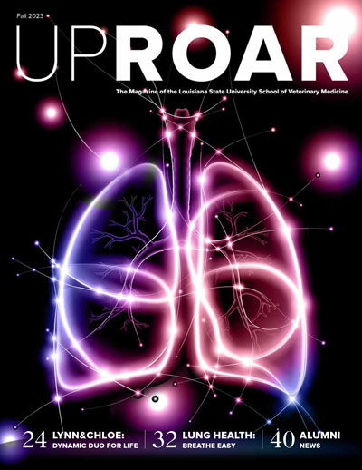 Fall 2023 UpRoar cover