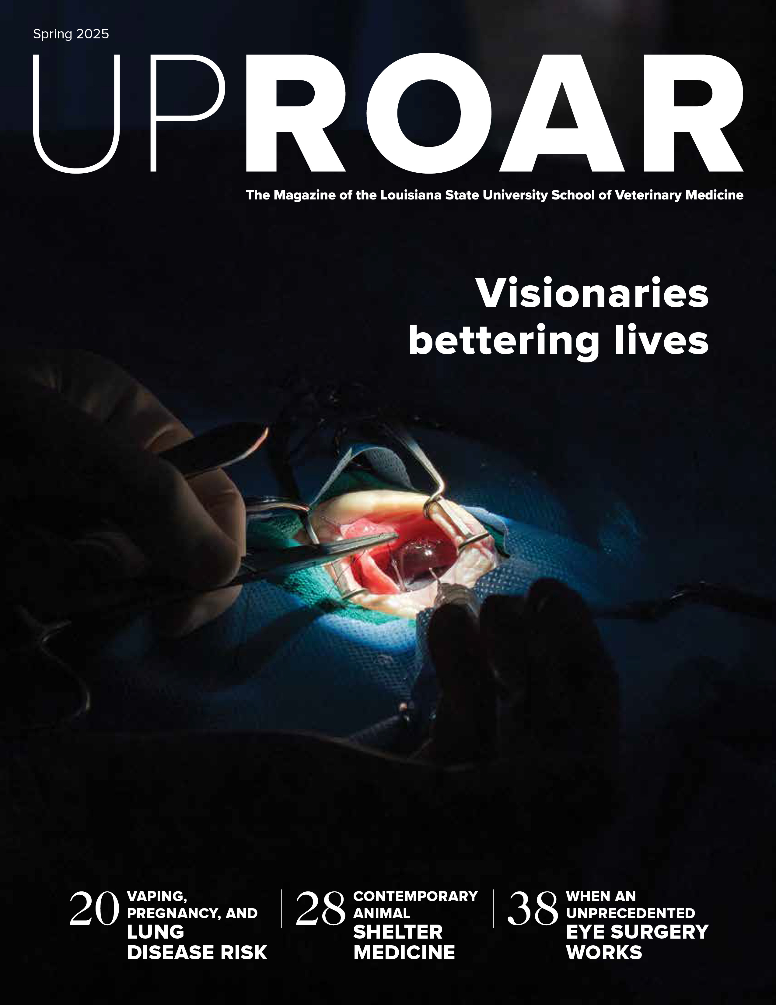 Spring 2025 Uproar cover